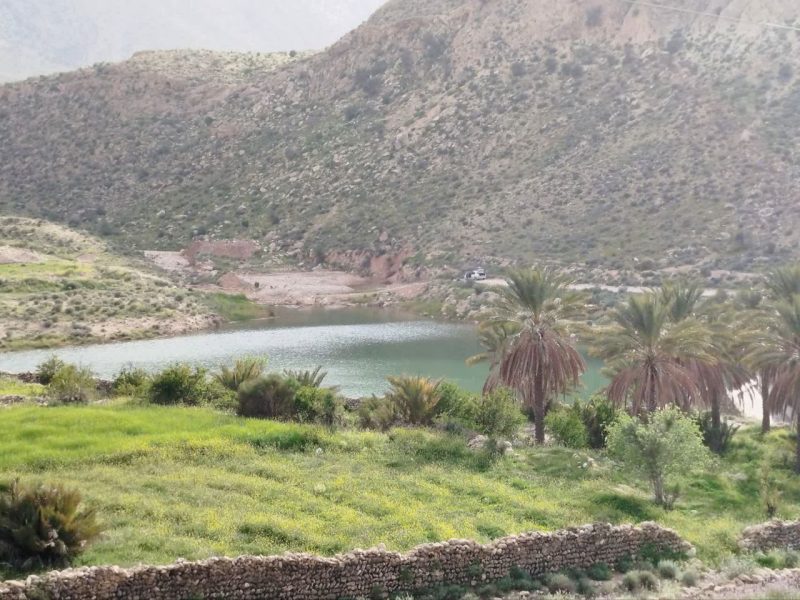 چشم‌انداز بهاری روستای خرم‌آباد جهرم